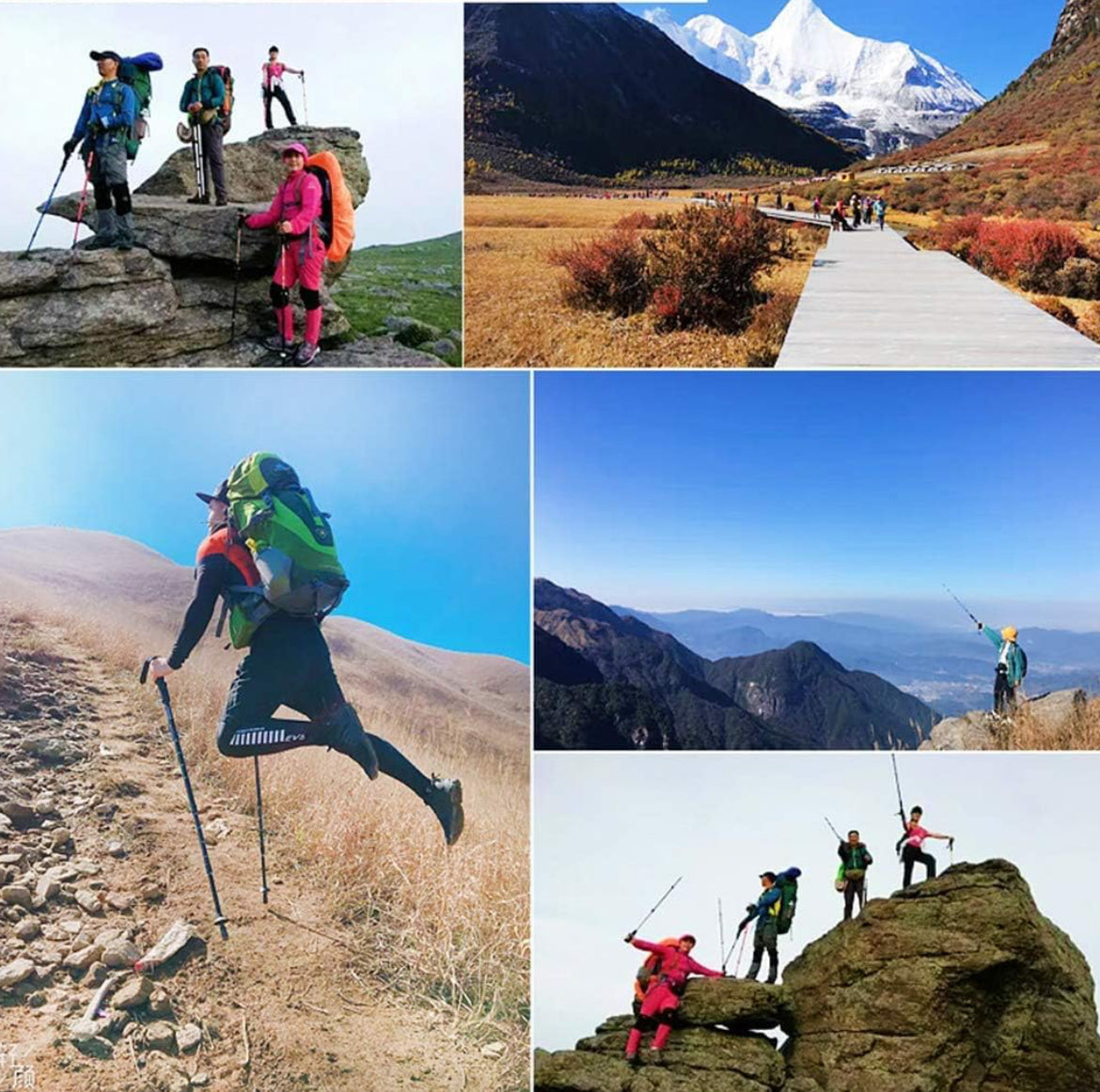 Premium Trekking Stick